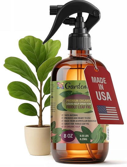 GARDENERA Professional Organic Liquid Kelp Spray for Fiddle Leaf FIG Plants - 8 oz - Ready-to-Use Fully Organic Seaweed & Kelp Fertilizer Mist