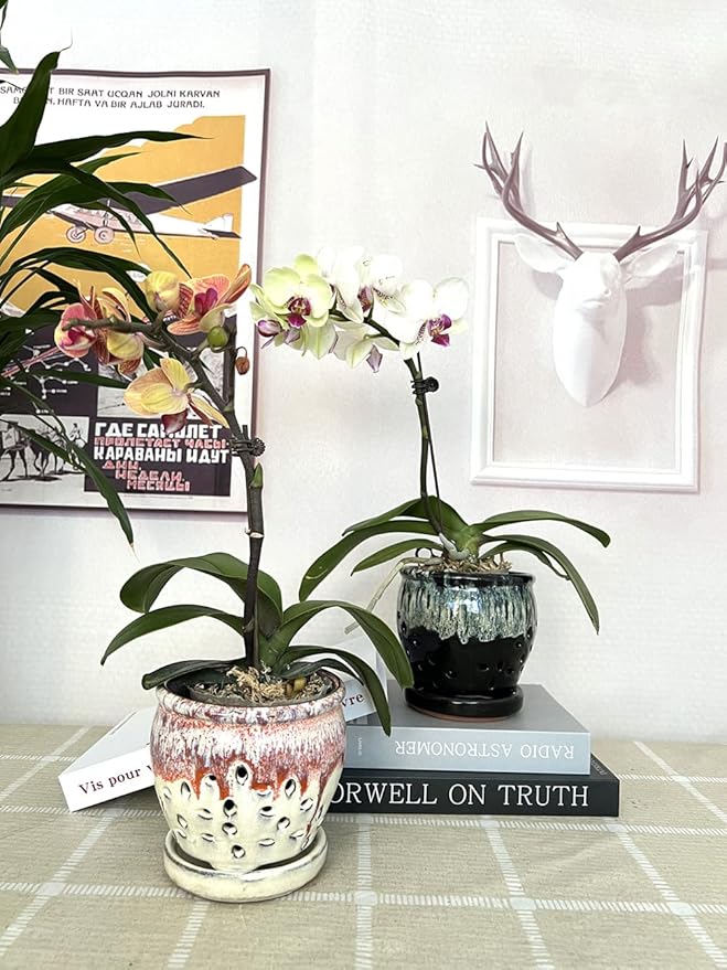 2PCS Small Ceramic Orchid Planter Pots with Holes 4.33inch Ceramic Planters for Orchid Repotting(Black&White)