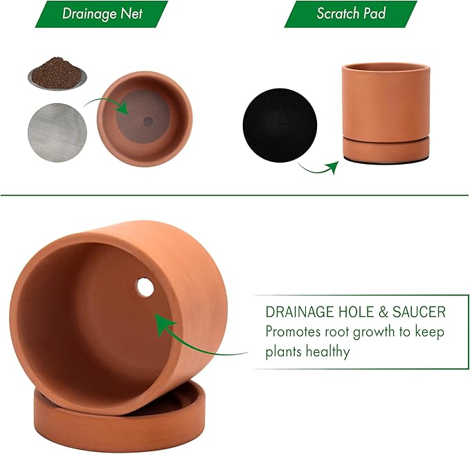 D'vine Dev XX-Small 3 Inch Terracotta Plant Pot with Drainage Hole and Saucer, Round Cylinder Planter Pot for Indoor Plants, Set of 2, 40-X-B-0