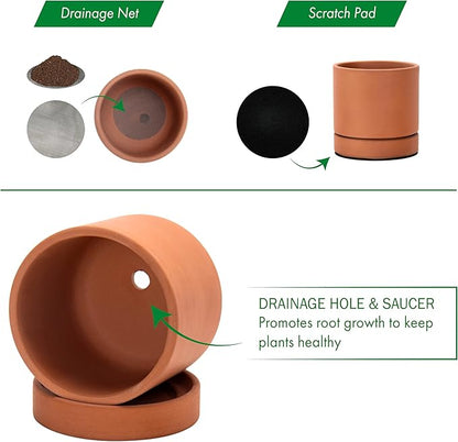 D'vine Dev XX-Small 3 Inch Terracotta Plant Pot with Drainage Hole and Saucer, Round Cylinder Planter Pot for Indoor Plants, Set of 2, 40-X-B-0