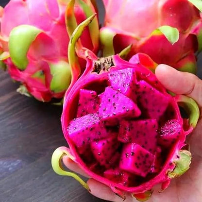 150pcs/pack Red Dragon Fruit (Pitaya) Seeds – Easy to Germinate Grow Exotic, Vibrant Pitaya Fruit at Home Organic | Heirloom