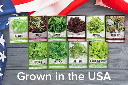 Gardeners Basics, Salad Greens Lettuce Seeds Heirloom Vegetable Seed 23,000 Seeds for Planting Indoors and Outdoor 10 Packs - Buttercrunch, Romaine, Iceberg, (and More) Leaf and Head Variety Pack