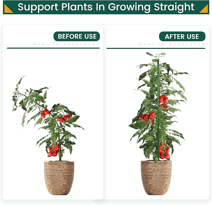 48 Inch 4 Ft Plant Support Garden Stakes 50 PCS, Sturdy Steel Plastic Coated Sticks for Outdoor Growing Climbing, Tomato, Trees, Cucumber, Beans