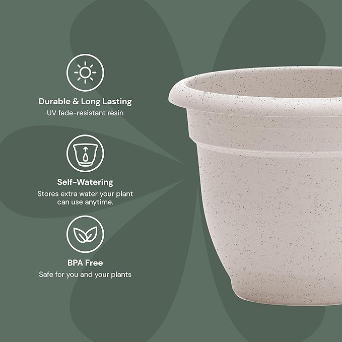 Bloem Ariana 8" Vanilla Bean Round Self-Watering Resin Planter Pot - Rolled Rim Indoor and Outdoor Gardening Planter