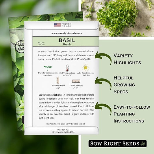 Sow Right Seeds - Greek Basil Seed for Planting - Non-GMO Heirloom Packet with Instructions for Easy Planting and Growing a Kitchen Herb Garden - Indoors & Outdoor - Small Leaved Dwarf Sweet Basil (3)