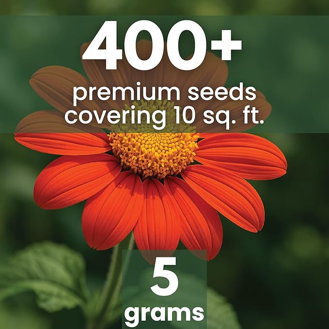 Mexican Sunflower (Red) – 400 Seeds for Planting – 5-Gram Pack – 2026 Growing Season