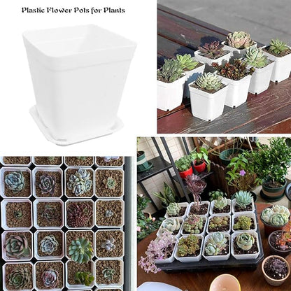 24 Pack 3 Inch White Square Plastic Plant Pots with Saucers,Nursery Seedling Pots with Drainage Hole,Small Planter Containers for Succulents,Flowers,Indoor Outdoor Garden,Home Office Balcony Decor
