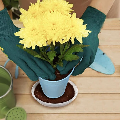 6 Pack of 14 Inch Clear Plant Saucer, Durable Plastic Plant Trays for Indoor, Flower Plant Pot Saucer, Sturdy Plant Water Catcher Tray