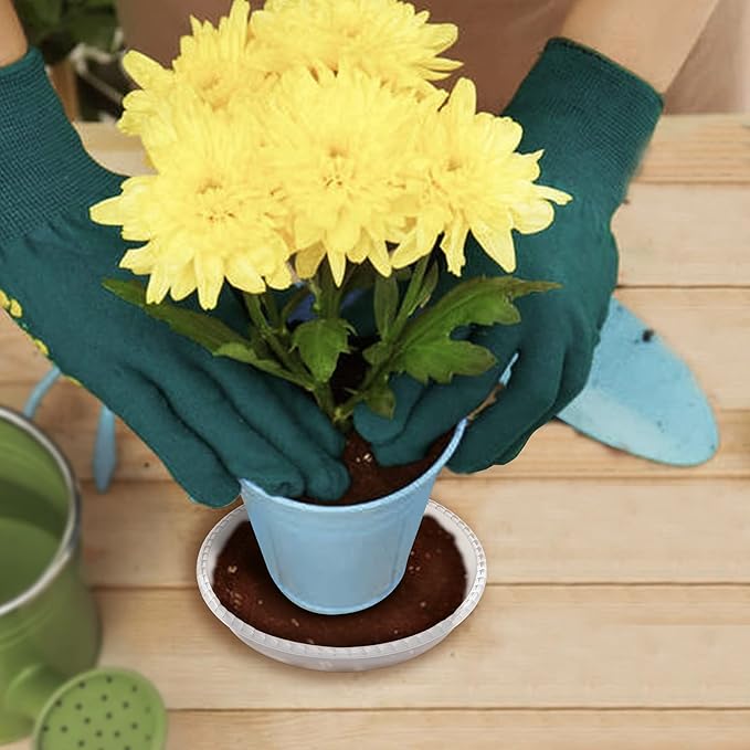 6 Pack Clear Plant Saucer 6 8 10 inch, Durable Plastic Plant Trays for Indoor, Round Flower Plant Pot Saucer, Sturdy Plant Water Catcher Tray