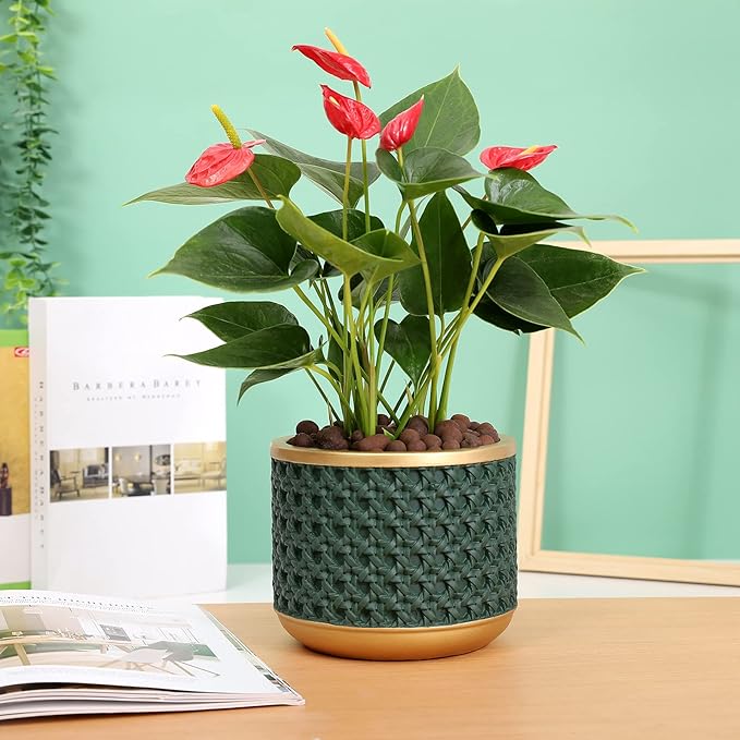 6&4.4 Inch Cement Planter Decorative Pots with Drainage Hole for All House Plants, Succulents, Flowers, and Cactus (Gold Green)
