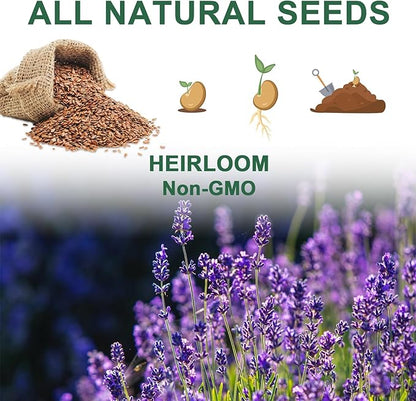 Lavender Seed Pod Kit, 8 Pod Kit (Include Seed Lavender/Chamomile/Holy Basil/Borage/Calendula/Mint) Fresh Tea Seed Pod Kit Compatible with Hydroponics