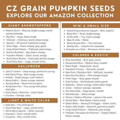Scarface Pumpkin Seeds for Planting (10 Seeds) – Unique Warted Variety with Green and Orange Skin – Easy to Grow Heirloom Pumpkin for Fall Gardens, Halloween & Harvest Displays