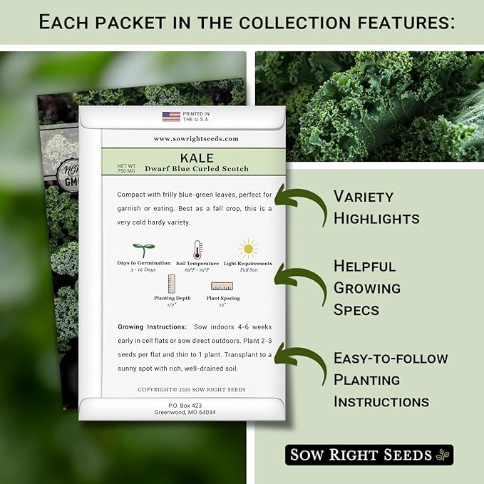 Sow Right Seeds - Kale Seed Collection for Planting - Non-GMO Heirloom Packet with Instructions to Plant and Grow a Home Vegetable Garden, Great Gardening Gift