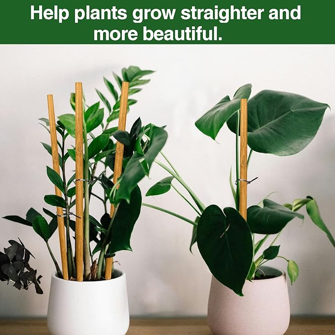 Strong Bamboo Sticks for Plants,18 Inch Tall Bamboo Poles for Plants, Plant Stakes for House Outdoor Indoor, Wood Garden Stakes for Potted Tomato Flower, 12 Pieces Long Wooden Rods Heavy Duty Support