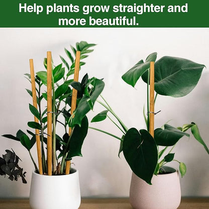 Strong Bamboo Sticks for Plants,18 Inch Tall Bamboo Poles for Plants, Plant Stakes for House Outdoor Indoor, Wood Garden Stakes for Potted Tomato Flower, 12 Pieces Long Wooden Rods Heavy Duty Support