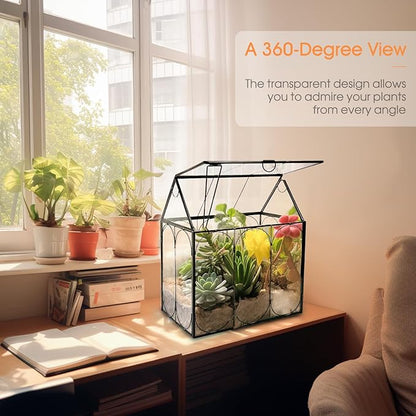 Plant Terrarium Kit, Rifny Large Glass Terrarium Jar with Absorbent Mat for Venus Fly Trap Succulent Live Air Plants Indoor Home Office Decor (Black, 8.9 x 5.9 x 9.9 inch, Without Plant Light)