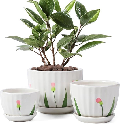 Ceramic Plant Pots with Drainage Holes and Saucers, Round White Flower Pots for Indoor Plant, Diameter 3.3/4.3/5.5 Inches Small Flower Planters Set of 3