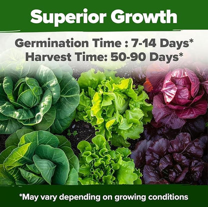 HOME GROWN 21,700+ Lettuce Seeds for Planting - 20 Heirloom Varieties, Non-GMO USA - Romaine, Butterhead, Iceberg, Leaf Lettuce, Spinach & Kale - Indoor, Outdoor & Hydroponic Garden Kit