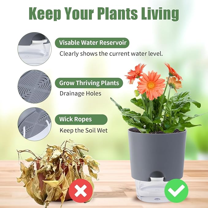 6.3 Inch Self Watering Planter Pots for Indoor Plants, 3 Packs African Violet Pots with Wick Rope and Visible Reservoir Self Watering Planter for Herb, Houseplants