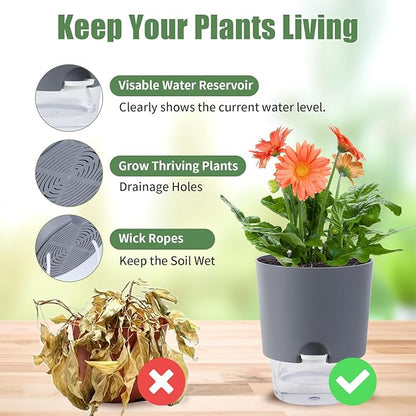 6.3 Inch Self Watering Planter Pots for Indoor Plants, 3 Packs African Violet Pots with Wick Rope and Visible Reservoir Self Watering Planter for Herb, Houseplants