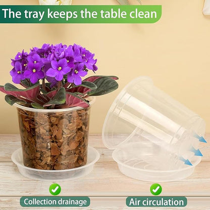 Clear Nursery Pots with Drainage and Saucers, 12 Pack 5 Inch Clear Plastic Plant Pots for Plants, Seed Starting Pots