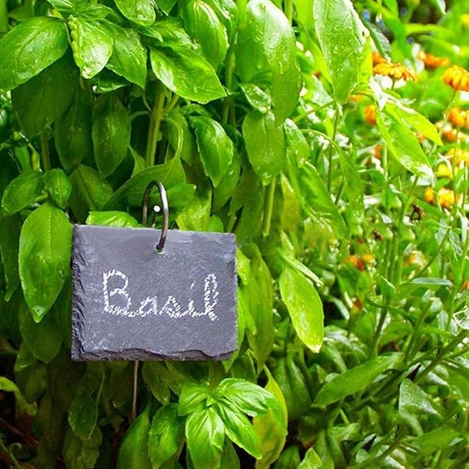 20pcs Stainless Steel Plant Labels - Hanger and Stake, Rustproof Garden Sign Stakes