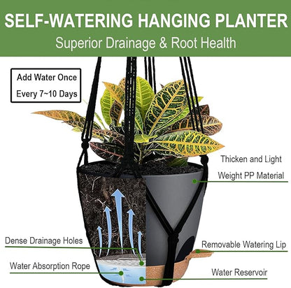 3 Pack Self Watering Hanging Planters Macrame Plant Hangers with Indoor Flower Pots, 3 Different Size Hanging Basket, Plant Hanger with Hooks for Garden Home Decor Black