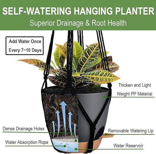 3 Pack Self Watering Hanging Planters Macrame Plant Hangers with Indoor Flower Pots, 3 Different Size Hanging Basket, Plant Hanger with Hooks for Garden Home Decor Black