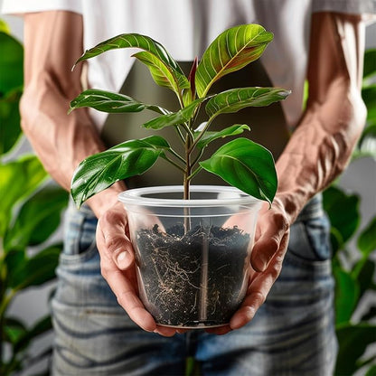 21 Pack 3.5/5/6 Inch Clear Nursery Pots for Plants, Clear Plant Pots with Drainage Holes, Flexible Plastic Plant Pots, Seedling Planter Seed Starter Pots(3.5+5+6 Inch)