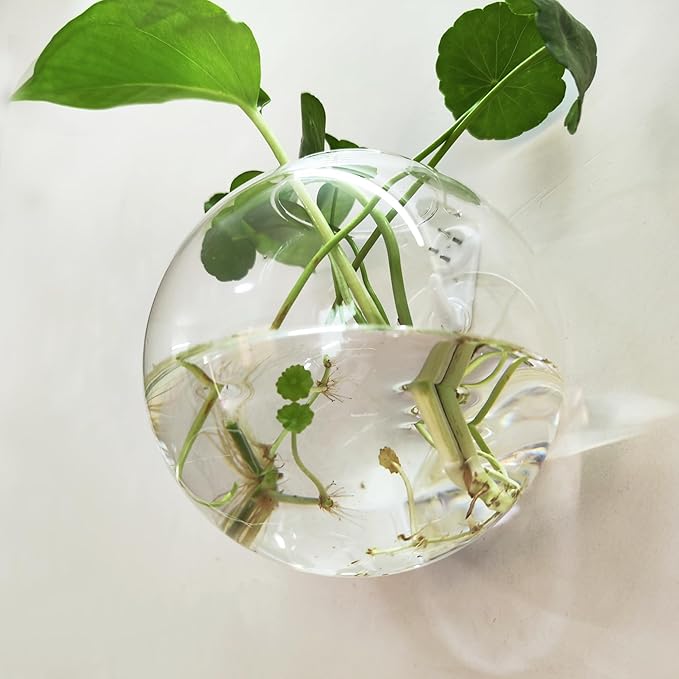4.7" Globe Hanging Glass Wall Vase, Wall Hainging Planter Propagation Station Container, Clear Glass Flower Plant Terrarium Kit for Hydroponics Plants,Home Decor, 2 Pack