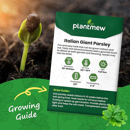 Italian Giant Parsley Seeds for Planting - 500+ Heirloom, Non-GMO Seeds - Herb Seeds Packet for Plating Home Garden, Herb Garden - Indoor/Outdoor, Easy to Grow
