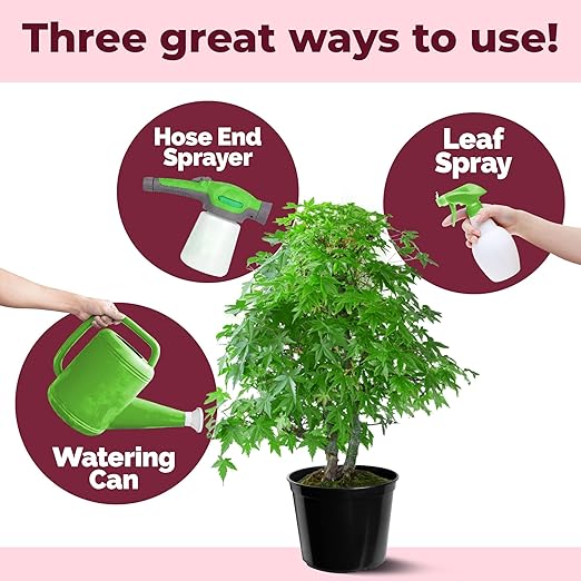 Japanese Maple Fertilizer, Complete Liquid Plant Food for All Japanese Maple Tree Varietals, 8 oz (250mL)