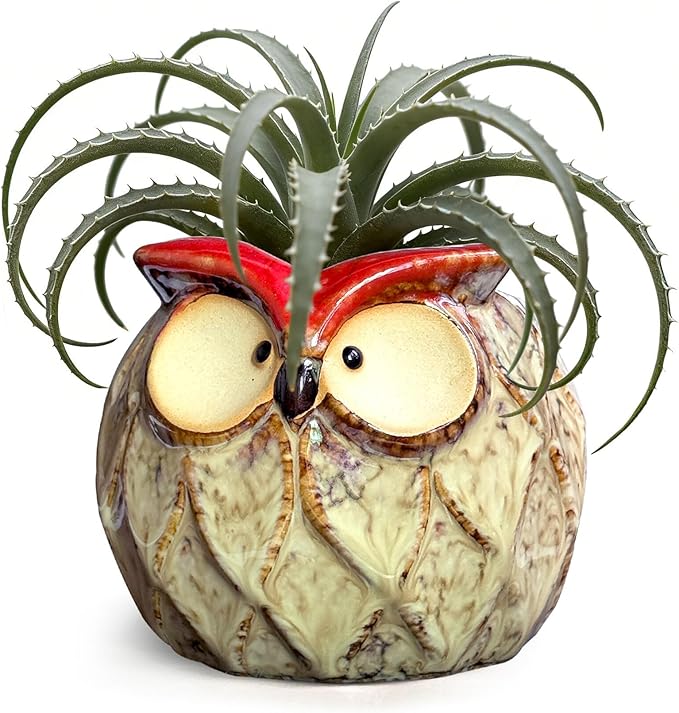 GeLive Owl Succulent Pot Ceramic Cactus Planter with Drainage Hole, Cute Small Plant Container for Desk Windowsill Tabletop Decor Pen Holder (No Plants)