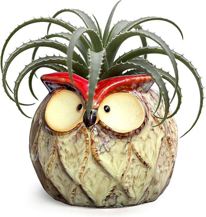 GeLive Owl Succulent Pot Ceramic Cactus Planter with Drainage Hole, Cute Small Plant Container for Desk Windowsill Tabletop Decor Pen Holder (No Plants)