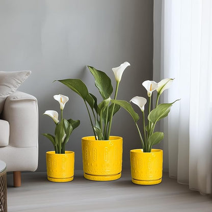 8 Inch Plant Pot, Ceramic Pots for Plants with Drainage Hole and Sacuer, Round Flower Pots for Indoor Outdoor Plants, Modern Decorative Planter, Table Decor, Plant Gifts for Women, Yellow