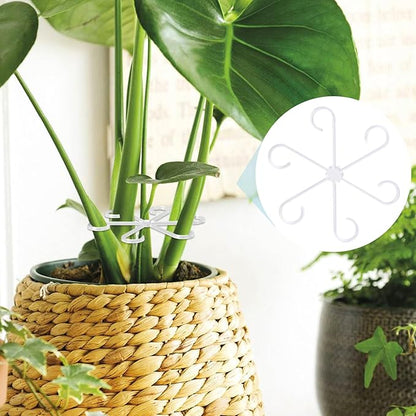 8PCS Climbing Plant Stem Support, 4 Sizes Plastic Houseplant Stem Holders, Reusable Flower Trellis Stem Stakes for Garden, Plant Growth Care Accessories Indoor, Outdoor - Clear