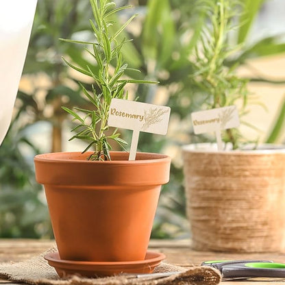 JarThenaAMCS 24Pcs Wooden Plant Label Signs 12 Styles Garden Herb Markers Wood T-Type Tags Reusable Plant Stake Tags with Names for Nursery Indoor Outdoor Garden Decor
