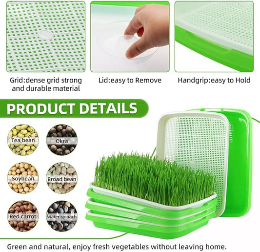 Seed Sprouter Tray 2PCS Soil-Free Wheatgrass Grower Sprouting Container with Lid 20CPS Germinating Growing Paper