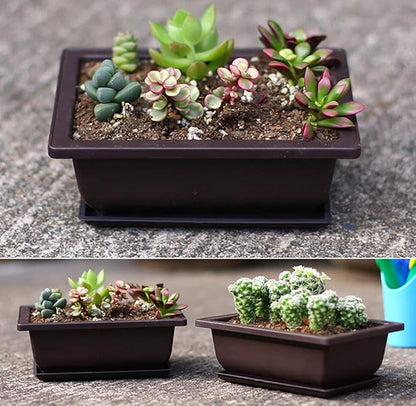 Yesland 6 Pack Bonsai Training Pots - 9 Inches Classic Deep Humidity Trays with Built in Mesh - Plastic Square Pot & Bonsai Plants Growing Pots