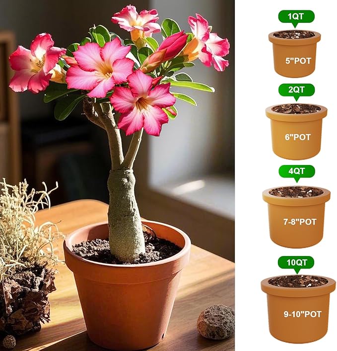 Organic Desert Rose Potting Soil Mix for Healthy Growth 10qt- 100% Natural Potting Mix - Specially Formulated Nutrient-Rich Plant Soil for Desert Rose Plant