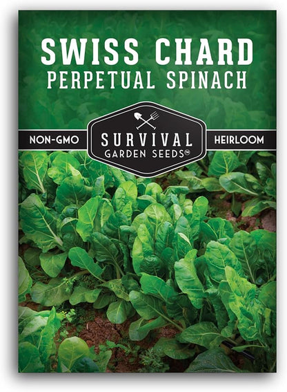 Perpetual Spinach Seeds for Planting – Swiss Chard Variety with Spinach Flavor, Heat & Cold Tolerant Long Season Greens for Spring to Fall Harvest - Survival Garden Seeds (1 Pack)