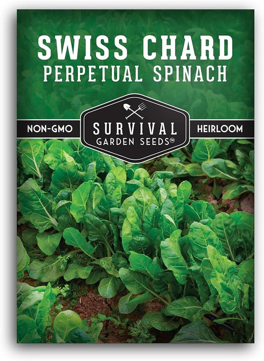 Perpetual Spinach Seeds for Planting – Swiss Chard Variety with Spinach Flavor, Heat & Cold Tolerant Long Season Greens for Spring to Fall Harvest - Survival Garden Seeds (1 Pack)