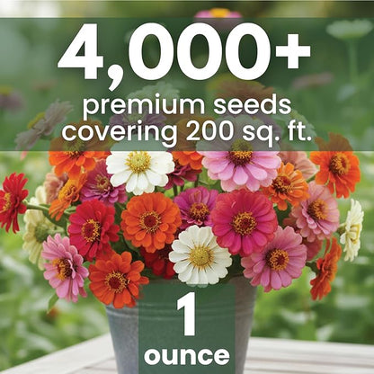 Zinnia ‘Cut and Come Again’ – 4,000 Seeds for Planting – 1 Ounce Pouch