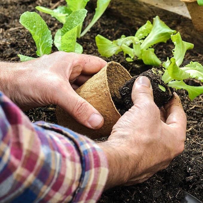 100 Pack 4 Inch Peat Pots, Biodegradable Seed Starter Pots with Drainage Holes for Indoor/Outdoor Gardening, Eco-Friendly Garden Germination Nursery Pots. (50, 4 Inch)