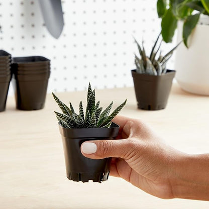 Juvale Square Nursery Pots - Seedling Planters with Drainage Holes - Versatile Pots for Plants & Succulents - Space-Saving Stackable Planters - 2.6 in, Pack of 300, Black