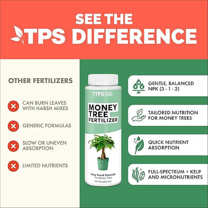 Money Tree Fertilizer for Money Trees and All Pachira Plants, Liquid Plant Food 8 oz (250mL)