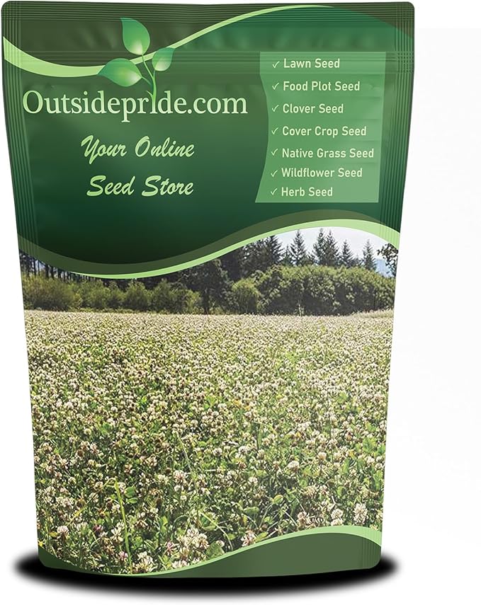 Outsidepride Perennial White Ladino Clover Seed - 5 lbs. Nitrocoated, Inoculated Bulk Clover Seeds, Ideal for Pasture, Forage, Food Plots & Wildlife Ground Cover for Continuous & Rotational Grazing