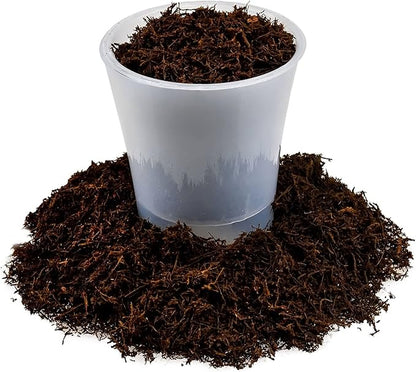 GARDENERA's Premium New Zealand Tree Fern - 4 Quart - Growing Medium for Orchids and Epiphytes | Provides Optimal Drainage and Aeration