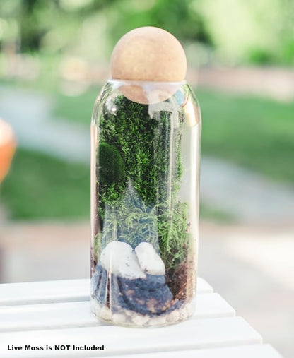 DIY Terrarium Kit with Closed Glass Bottle Container Planter with Lid (Ball Cork) | 2 Jars | Airtight Terrarium | Create Your Own Indoor Garden (No Live Plants)
