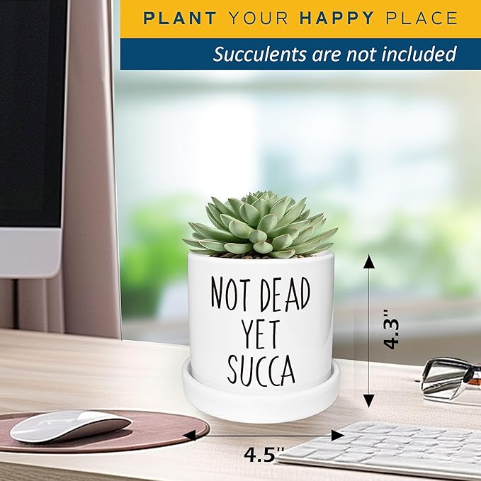Not Dead Yet Succa - 4.3 inch Funny Succulent Pot, Funny Planter Pots Cactus, Small Plant Pots with Drainage Hole, Home Office Windowsill Pot Decor